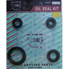FT-125 Oil seal Set