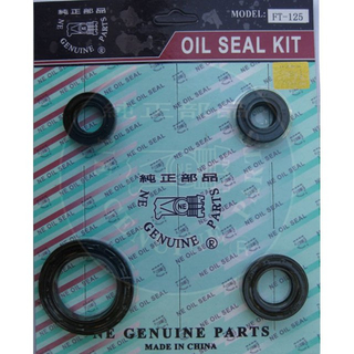 FT-125 Oil seal Set